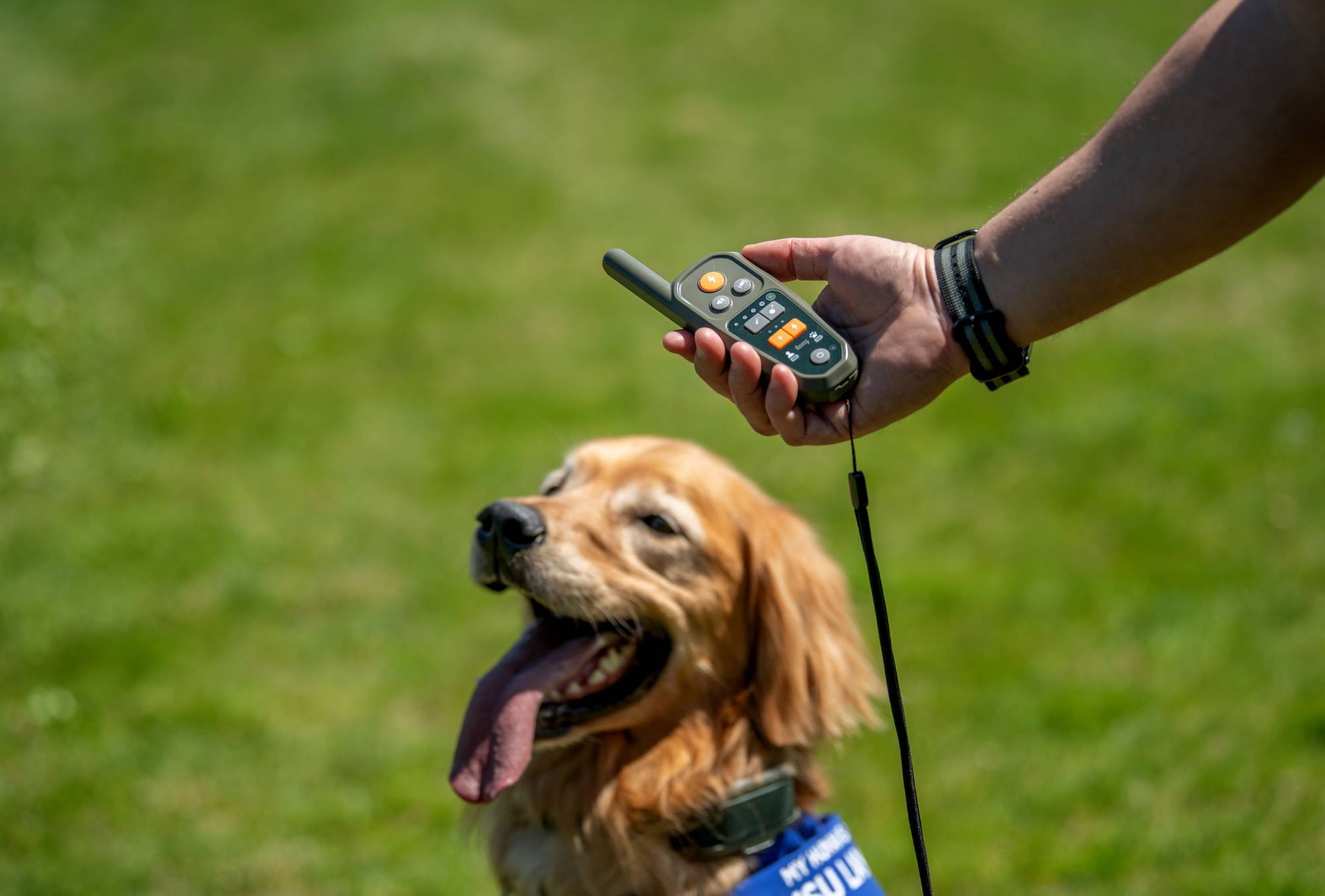 Nick holds the Heel controller and collar